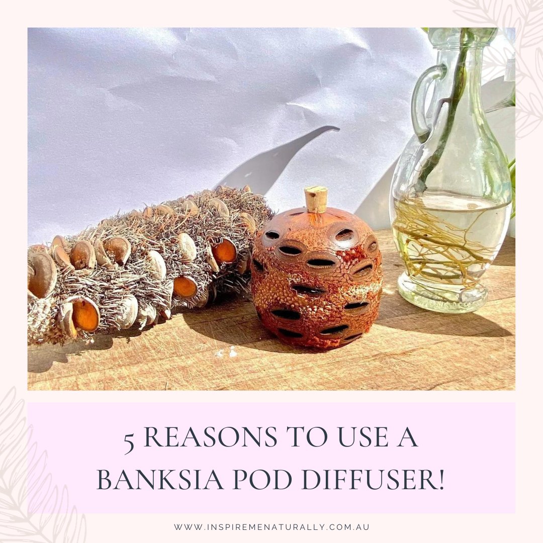 5 Reasons to Use a Banksia Pod Diffuser! Inspire Me Naturally