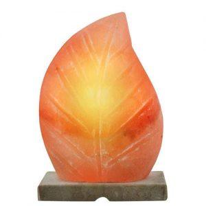 6 Little-Known Facts About Himalayan Salt Lamps! - Inspire Me Naturally 