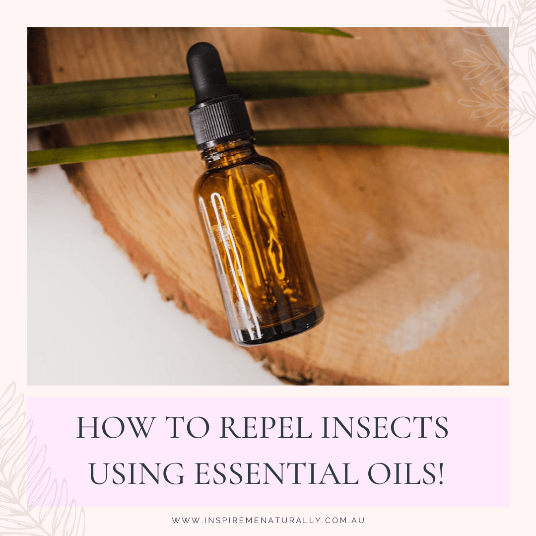 How to Repel Insects Naturally Using Essential Oils! - Inspire Me Naturally 