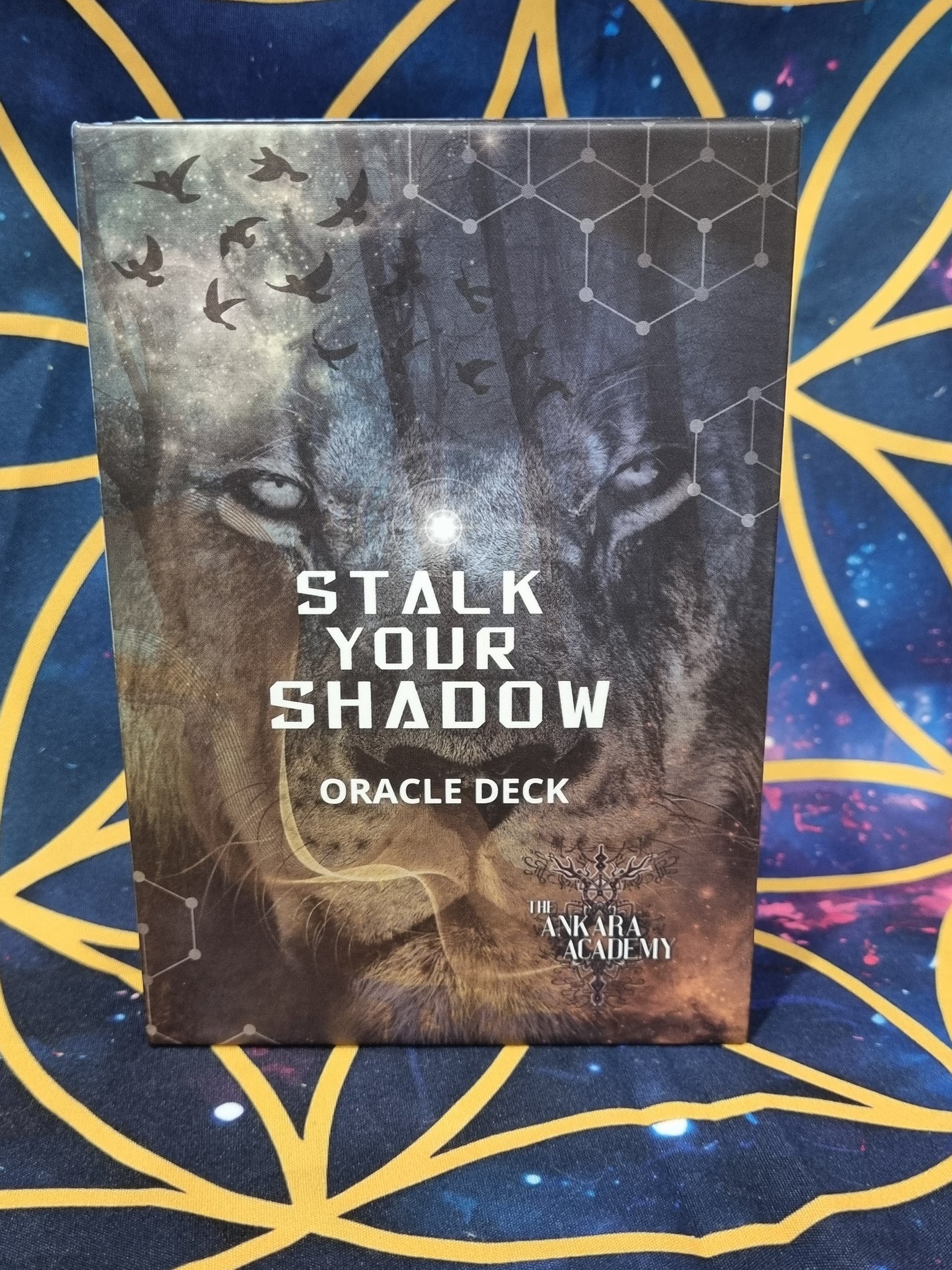 Stalk Your Shadow Oracle Deck