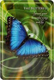 IC: Animal Whispers Empowerment Cards: Animal Wisdom to Empower and Inspire - Inspire Me Naturally 