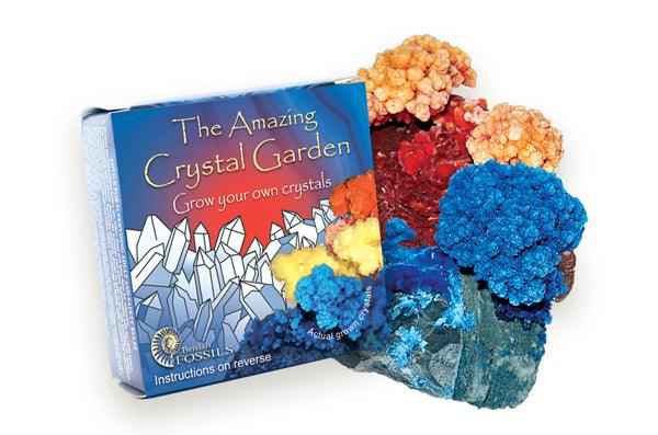 Crystal Garden Kit - Inspire Me Naturally 