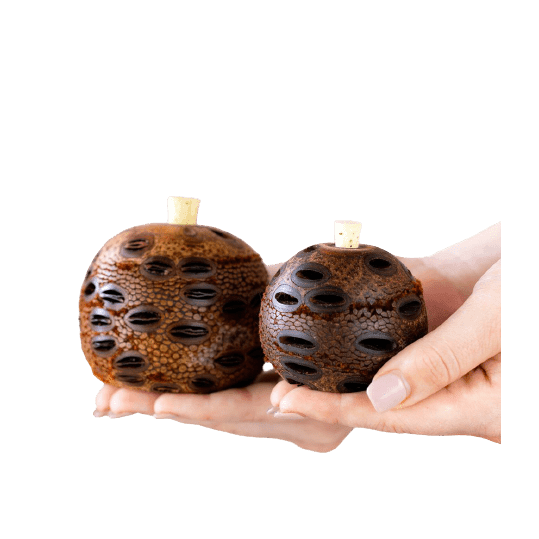 Banksia Seed Pod Natural Essential Oil Diffuser - Inspire Me Naturally 